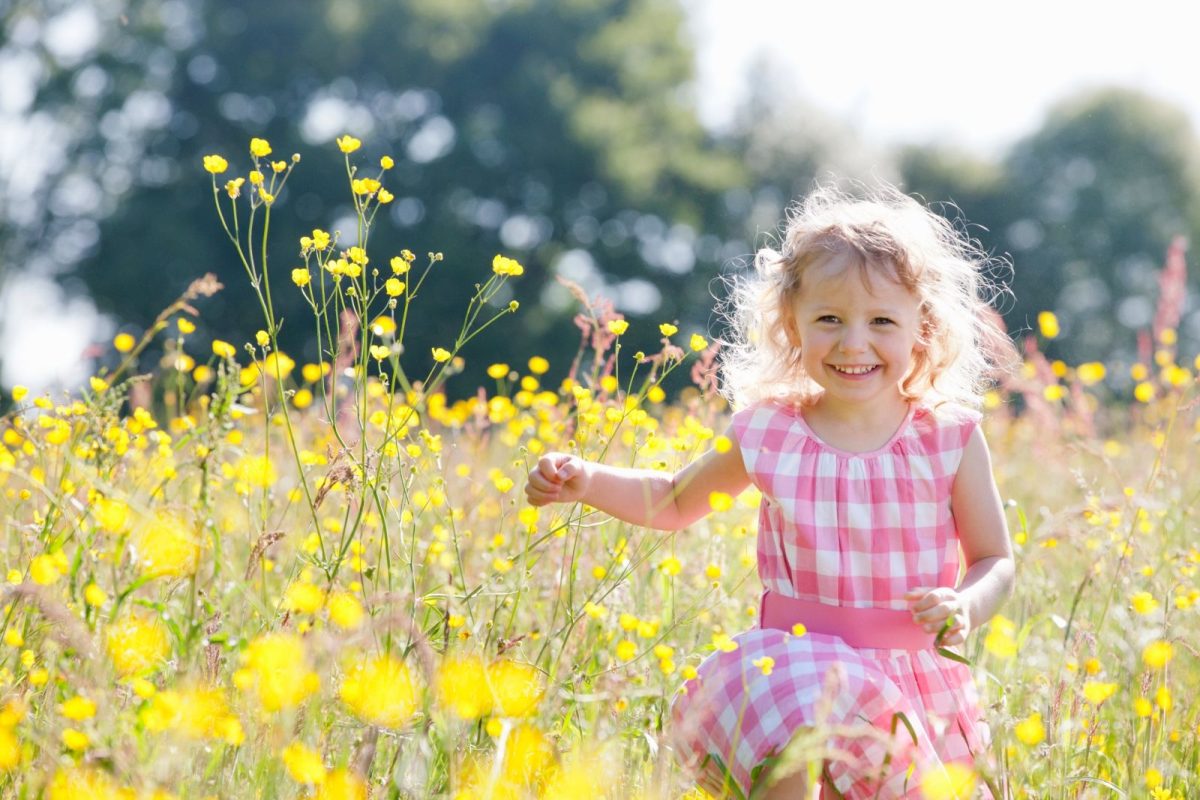 Little girl in meadow of wildflowers.